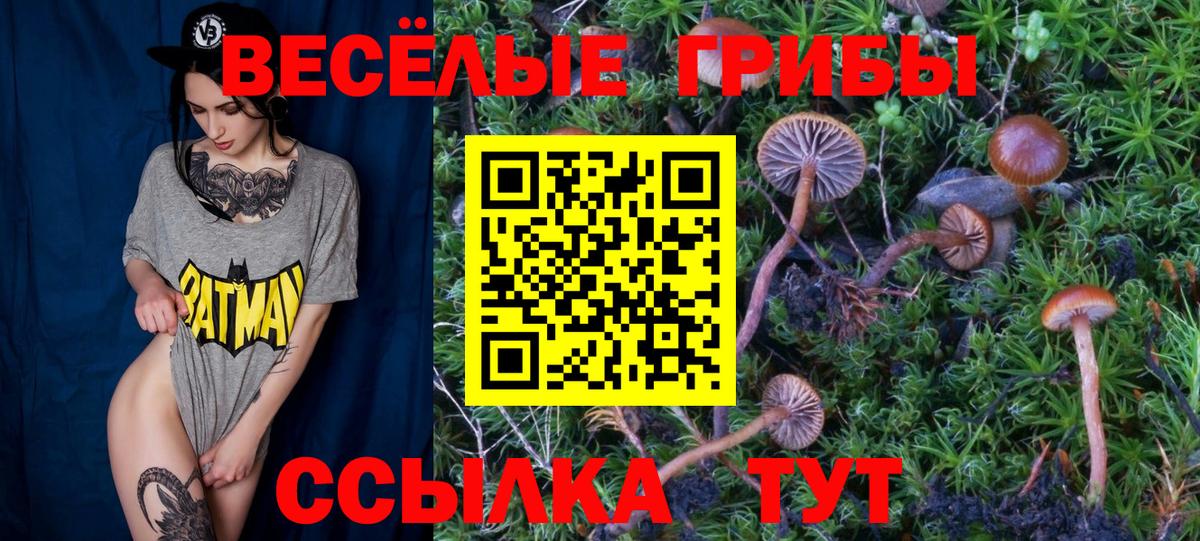 Псилоцибиновые грибы MAGIC MUSHROOMS Кострома